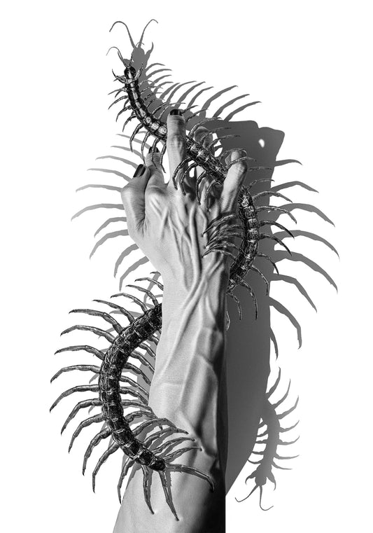 Crawling Curse